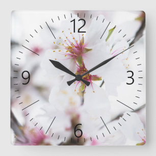 Blossom des Mandelbaums Quadratische Wanduhr