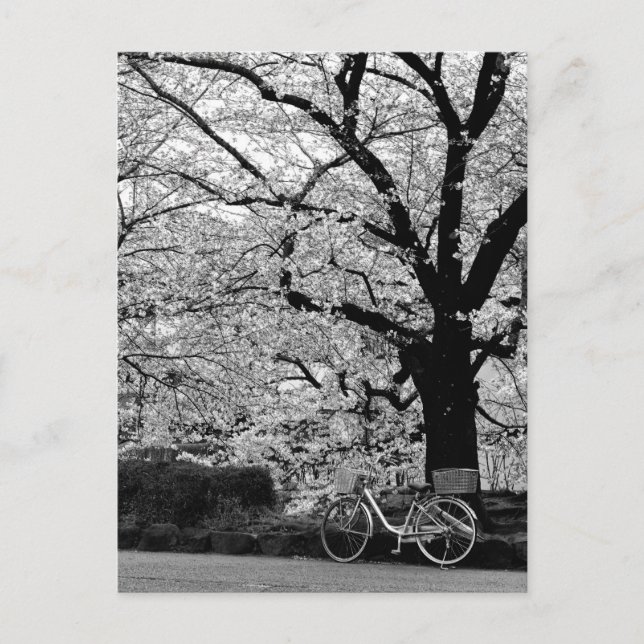 Blossom & Fahrrad: Japan Postkarte (Vorderseite)