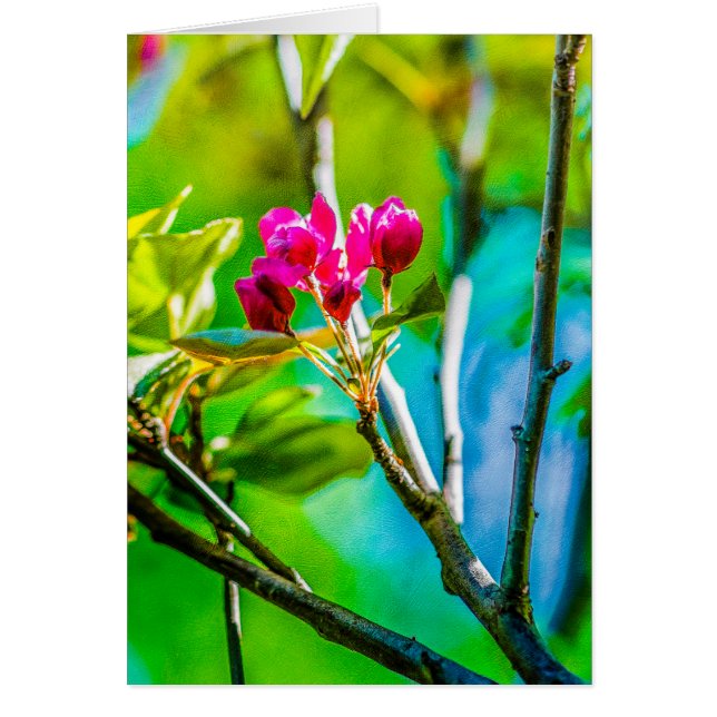 Blossom Inside (Vorne)