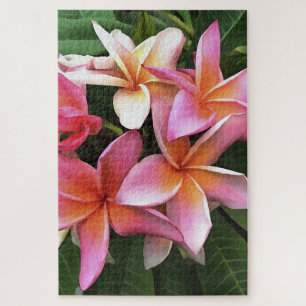 Blossom-Kranz von hellrosa Frangipani