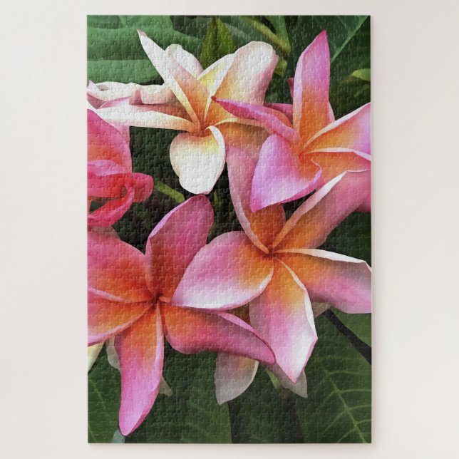 Blossom-Kranz von hellrosa Frangipani (Vertikal)