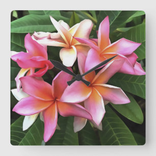 Blossom-Kranz von hellrosa Frangipani Quadratische Wanduhr
