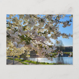 Blossom Postkarte
