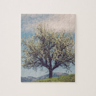 Blossom tree on a hill in Switzerland
