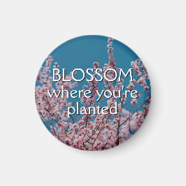 BLOSSOM WO SIE PLANTIERT WERDEN Blütenblume Magnet