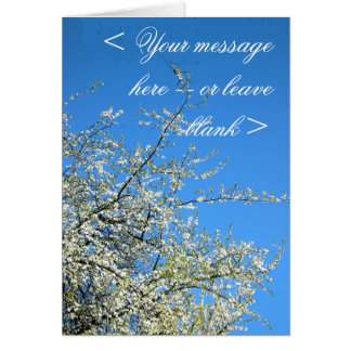 BLOSSOMS PLUM BLANC (PERSONNALISÉ)