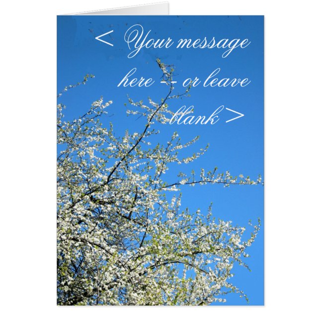 BLOSSOMS PLUM BLANC (PERSONNALISÉ) (Devant)