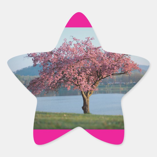 blossoms trees  Stern-Aufkleber (Vorderseite)