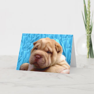 Blottissez-vous moi carte de voeux