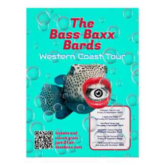 Blowfish Punk Rock Band Tour Poster