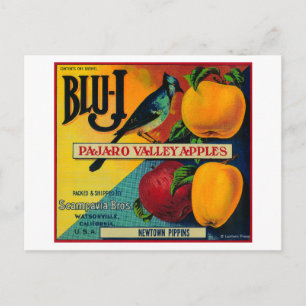 Blu-J Apple Crate LabelWatsonville, CA Postkarte