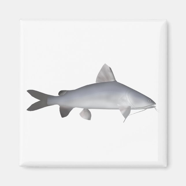 Blu Lmon Catfish Magnet (Vorne)