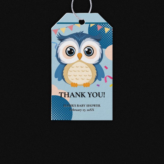 Blue Adorable Woodland Baby Owl Baby Dusche Geschenkanhänger (Von Creator hochgeladen)