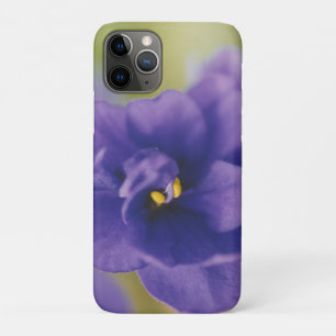 Blue African Violet Saintpaulia Case-Mate iPhone Hülle