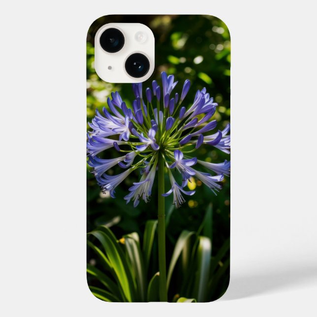 Blue Agapanthus Blume Phone Case (Rückseite)