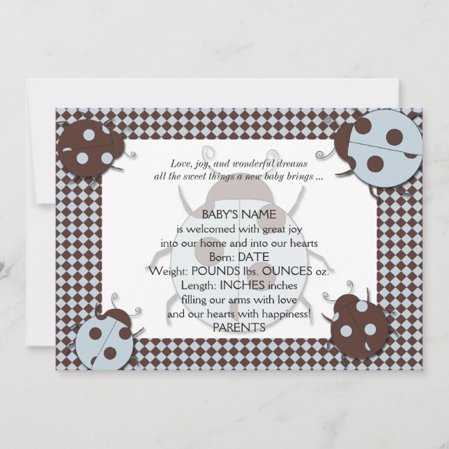 Blue and Brown Ladybug Baby Ankündigung (Vorderseite)