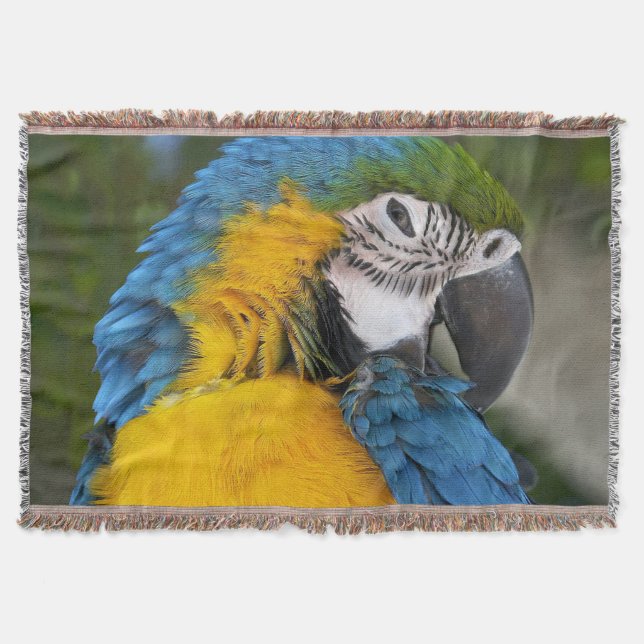 Blue And Gold Parrot Decke (Vorderseite)