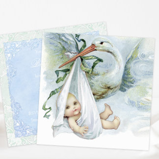 Blue and Green Stork Baby Dusche Einladung