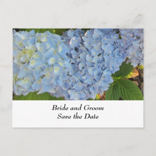 Blue and Mauve Wedding Hydrangeas Ankündigungspostkarte