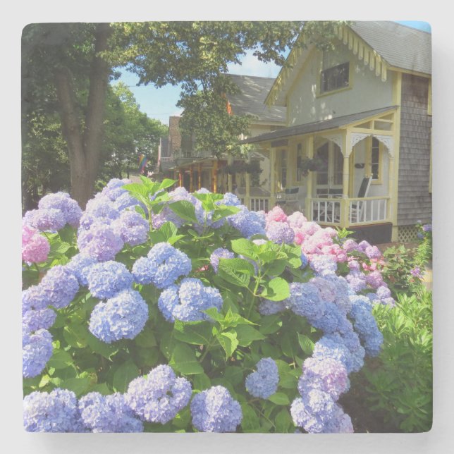 Blue and Pink Hydrangeas - Martha's Vineyard Steinuntersetzer (Vorderseite)