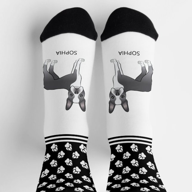 Blue and White Boston Terrier mit Namen und Paare Socken (Oben)