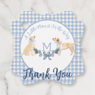 Blue and White Gingham Baby Dusche Begrüßungszeich Geschenkanhänger