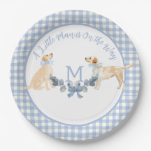 Blue and White Gingham Baby Dusche Begrüßungszeich