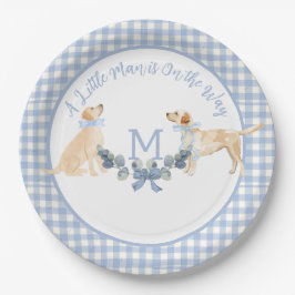 Blue and White Gingham Baby Dusche Begrüßungszeich Pappteller