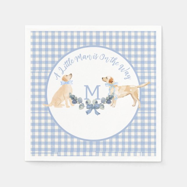 Blue and White Gingham Baby Dusche Begrüßungszeich Serviette (Vorderseite)
