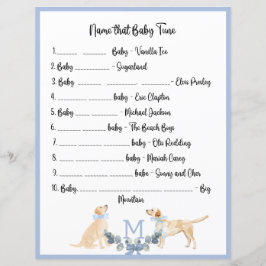 Blue and White Gingham Baby Showspiel
