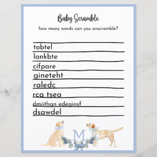 Blue and White Gingham Baby Showspiel