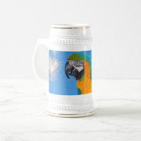 Blue and yellow macaw