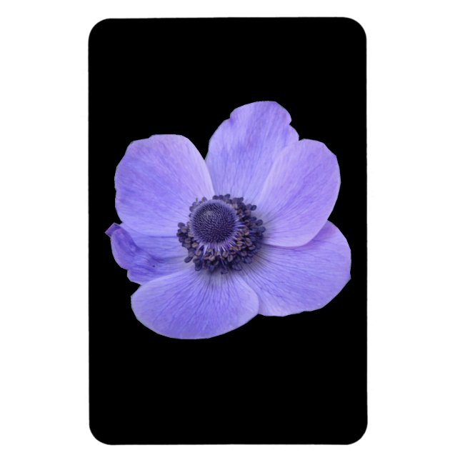 Blue Anemone Premium Magnet (Vertikal)