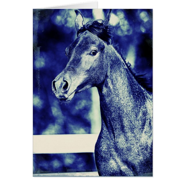 Blue Arabian Digital Art (Vorne)