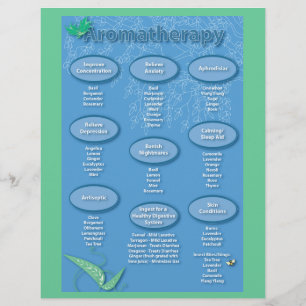 Blue Aromatherapy Chart Flyer
