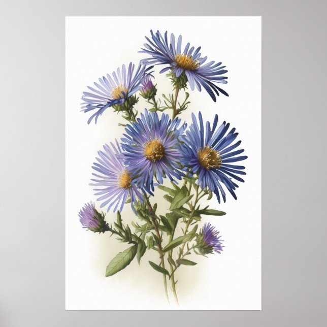 Blue Aster Blumen Art Print Poster (Vorne)
