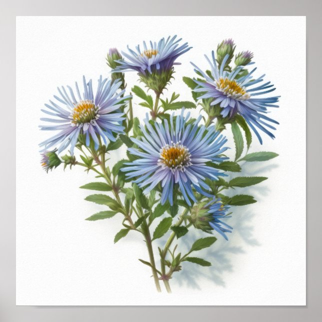 Blue Aster Blumen Art Print Poster (Vorne)