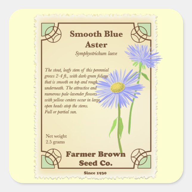 Blue Aster Seed Packet Quadratischer Aufkleber (Vorderseite)