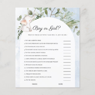 Blue Baby Shower Game