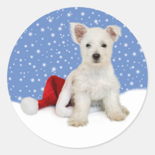 Blue Background lässt es Aufkleber erahnen