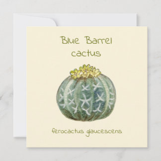 Blue Barrel cactus carte de voeux