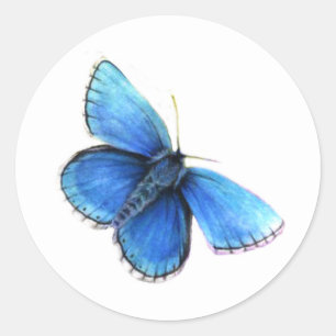 Blue Bartfly Eden Logo Aquarellkleber Runder Aufkleber