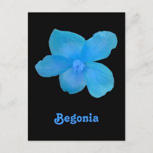 Blue Begonia individuell anpassbare Postkarte