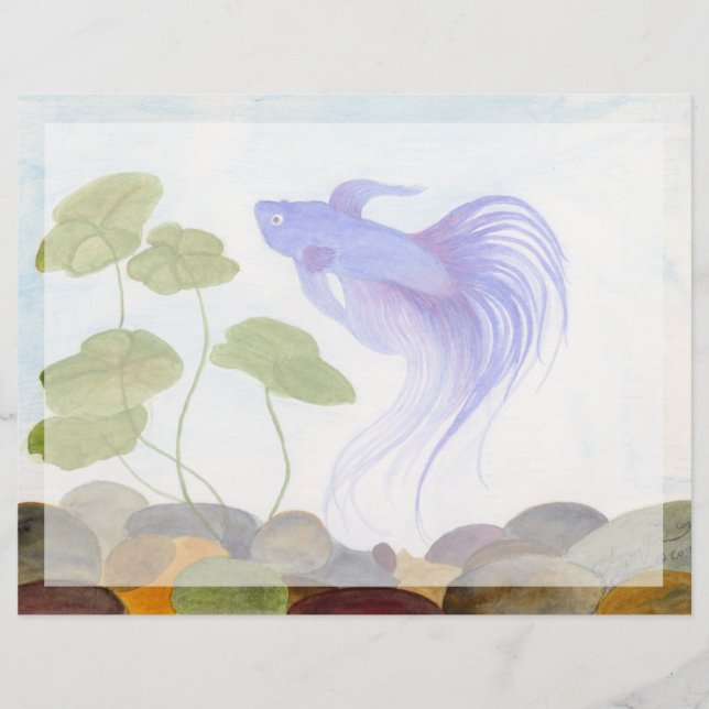 Blue Betta Fish (Vorderseite)