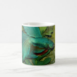 Blue Betta Fish Aquarium Tasse