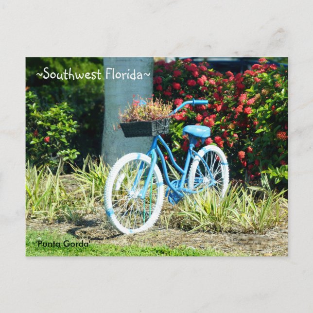 Blue Bicycle Southwest Florida Postkarte (Vorderseite)