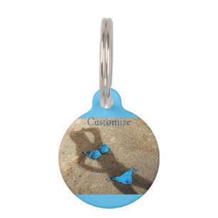 Blue Bikini Beach Sand Thunder_Cove Haustiermarke
