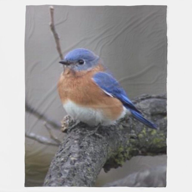 BLUE BIRD FLEECEDECKE (Vorderseite)