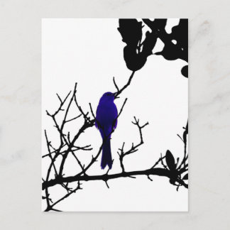 Blue bird on black tree postkarte