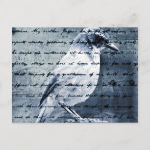 Blue Bird Song Postkarte
